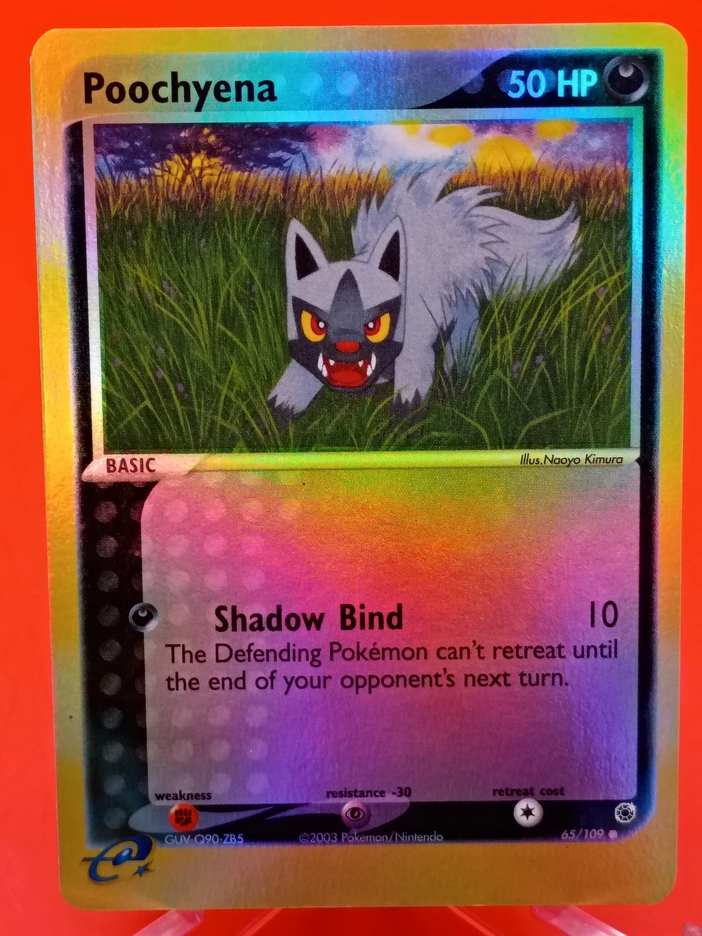 Poochyena Reverse Holo 65/109 EX Ruby & Sapphire E-Reader Series NM Pokémon